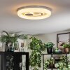 Rarel Plafones LED Plata, Blanca, 1 luz