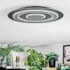 Lidor Plafones LED Negro, 1 luz