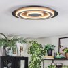 Lidor Plafones LED Negro, 1 luz