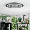 Lidor Plafones LED Negro, 1 luz