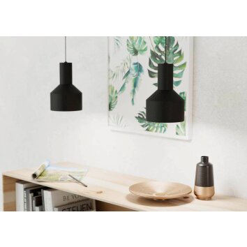Eglo-Leuchten CASIBARE Lámpara Colgante Negro, 1 luz