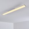 Bonifacio Lámpara de Techo LED Blanca, 1 luz