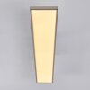 Bonifacio Lámpara de Techo LED Blanca, 1 luz