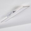 Bonifacio Lámpara de Techo LED Blanca, 1 luz