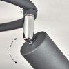 Baripada Lámpara de Techo Antracita, Cromo, 3 luces