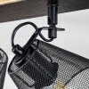 Panaguá Lámpara de Techo Madera clara, Negro, 3 luces