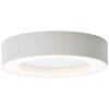 Brillliant Whittaker Lámpara de techo para exterior LED Blanca, 1 luz