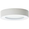 Brillliant Whittaker Lámpara de techo para exterior LED Blanca, 1 luz
