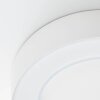 Brillliant Whittaker Lámpara de techo para exterior LED Blanca, 1 luz