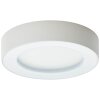 Brillliant Whittaker Lámpara de techo para exterior LED Blanca, 1 luz