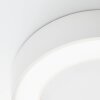 Brillliant Whittaker Lámpara de techo para exterior LED Blanca, 1 luz