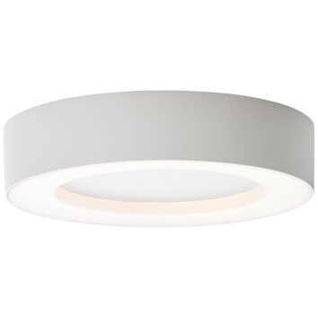 Brillliant Whittaker Lámpara de techo para exterior LED Blanca, 1 luz Brillliant Whittaker Lámpara de techo para exterior LED Blanca, 1 luz