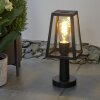 Juanico Poste de Jardín Transparente, Negro, 1 luz