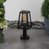 Juanico Poste de Jardín Transparente, Negro, 1 luz