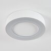 Paleroo Lámpara de techo para exterior LED Blanca, 1 luz