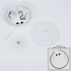 Paleroo Lámpara de techo para exterior LED Blanca, 1 luz