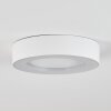 Paleroo Lámpara de techo para exterior LED Blanca, 1 luz
