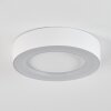 Paleroo Lámpara de techo para exterior LED Blanca, 1 luz