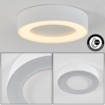 Paleroo Lámpara de techo para exterior LED Blanca, 1 luz