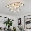 Marcus Lámpara de Techo LED Plata, 1 luz