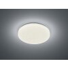 Reality CHARA Lámpara de Techo LED Blanca, 1 luz, Mando a distancia, Cambia de color
