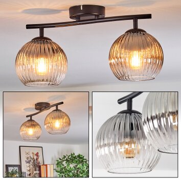 Koyoto Plafones, Luminarias esféricas Transparente, Ahumado, 2 luces