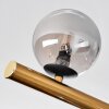 Chehalis Plafones, Luminarias esféricas dorado, Negro, 10 luces