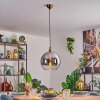 Koyoto Lámparas suspendidas, Luminarias esféricas, Lámparas colgantes dorado, 1 luz Koyoto Lámparas suspendidas, Luminarias esféricas, Lámparas colgantes dorado, 1 luz