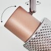 Nelar Plafones, Spot techo Bronce, Cromo, 4 luces