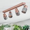 Nelar Plafones, Spot techo Bronce, Cromo, 4 luces