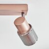 Nelar Plafones, Spot techo Bronce, Cromo, 4 luces