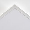 Orain Plafones, Panel LED Blanca, 1 luz, Cambia de color