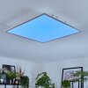 Orain Plafones, Panel LED Blanca, 1 luz, Cambia de color