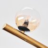Chehalis Plafones, Luminarias esféricas dorado, Negro, 10 luces