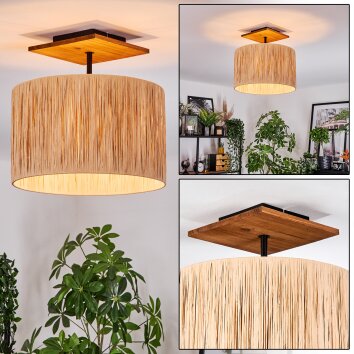 Granja Plafones Crudo, Negro, 1 luz