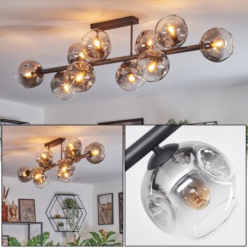 Ripoll Plafones, Luminarias esféricas Transparente, Ahumado, 10 luces