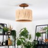 Granja Plafones Crudo, Negro, 1 luz