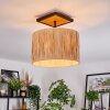 Granja Plafones Crudo, Negro, 1 luz