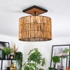 Cando Plafones Crudo, Negro, 1 luz