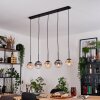 Gastor Lámparas suspendidas, Luminarias esféricas, Lámparas colgantes Colores ámbar, Transparente, Ahumado, 5 luces