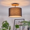Bassagoda Plafones Crudo, Negro, 1 luz