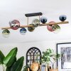 Chehalis Plafones, Luminarias esféricas dorado, Negro, 10 luces
