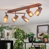 Nelar Plafones, Spot techo Bronce, Cromo, 5 luces