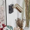 Javel Apliques, Spot de pared Latón antiguo, Negro, 1 luz