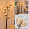 Koyoto Lámpara de pie 40 cm Colores ámbar, Transparente, 6 luces