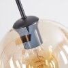 Koyoto Lámparas suspendidas, Luminarias esféricas, Lámparas colgantes Colores ámbar, Transparente, Ahumado, 6 luces