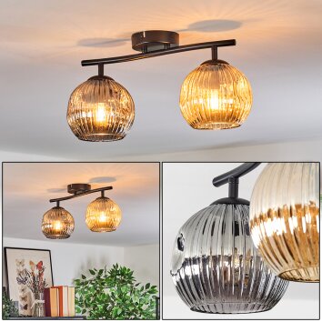 Ripoll Plafones, Luminarias esféricas Colores ámbar, Ahumado, 2 luces Ripoll Plafones, Luminarias esféricas Colores ámbar, Ahumado, 2 luces