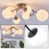 Chehalis Plafones, Luminarias esféricas Blanca, 6 luces