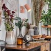Javel Apliques, Spot de pared Rosa, Blanca, 1 luz