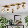 Javel Plafones, Spot techo dorado, 5 luces